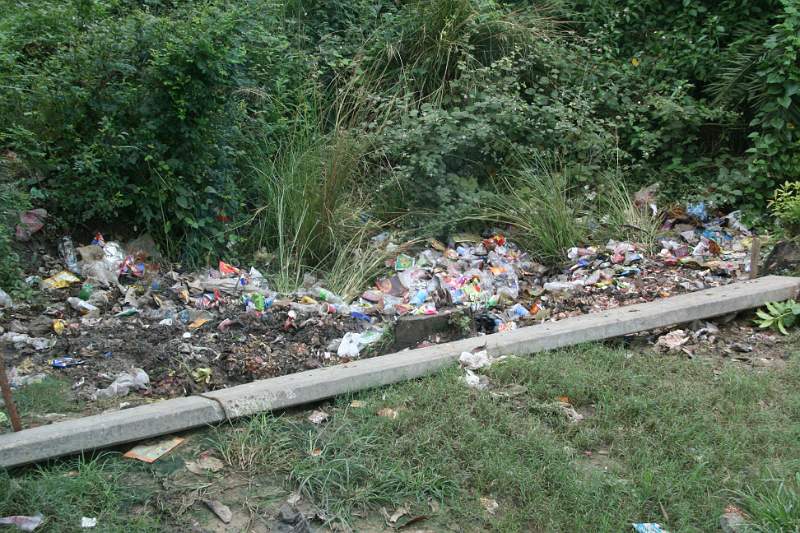 India & Nepal 2011 - 0683